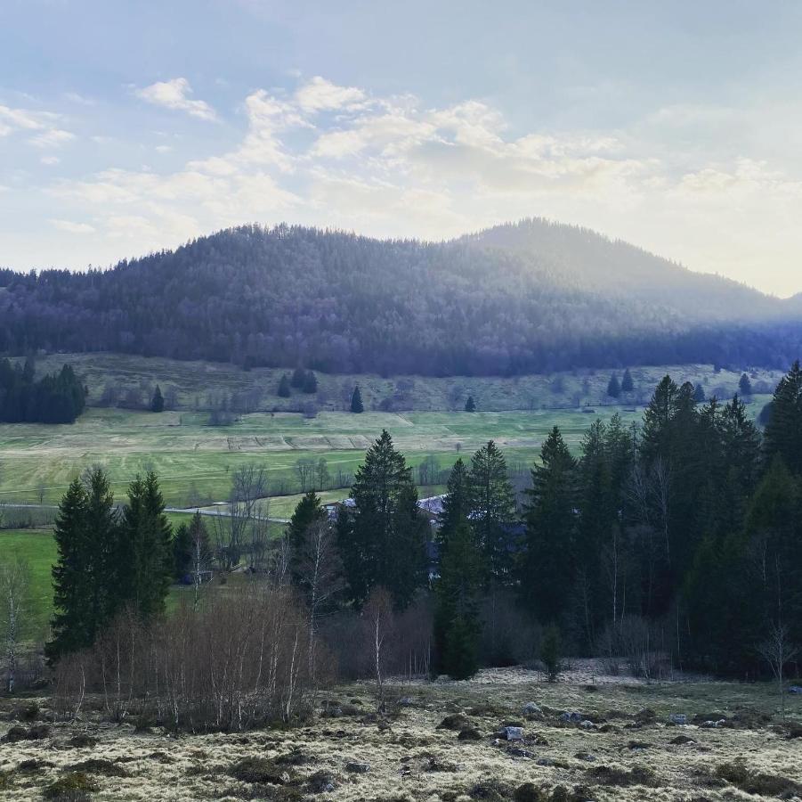 Hotel Hirschen Menzenschwand-Hinterdorf Eksteriør bilde