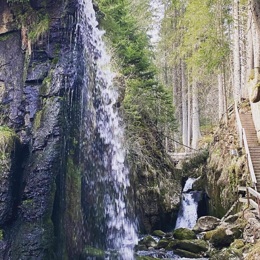 Hotel Hirschen Menzenschwand-Hinterdorf Eksteriør bilde